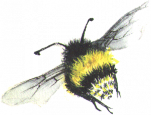 House Cleaning Services and Home Organizing - Bumble Bee Flying away